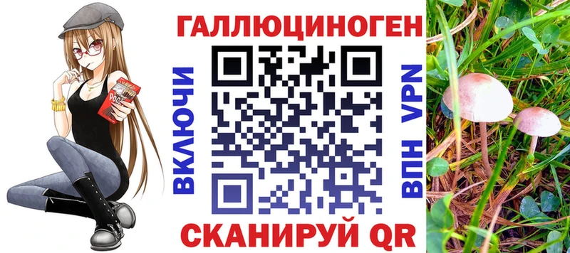 Галлюциногенные грибы MAGIC MUSHROOMS  Купить  Михайлов 